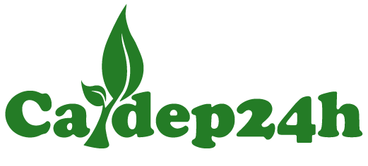 Cây Đẹp 24H