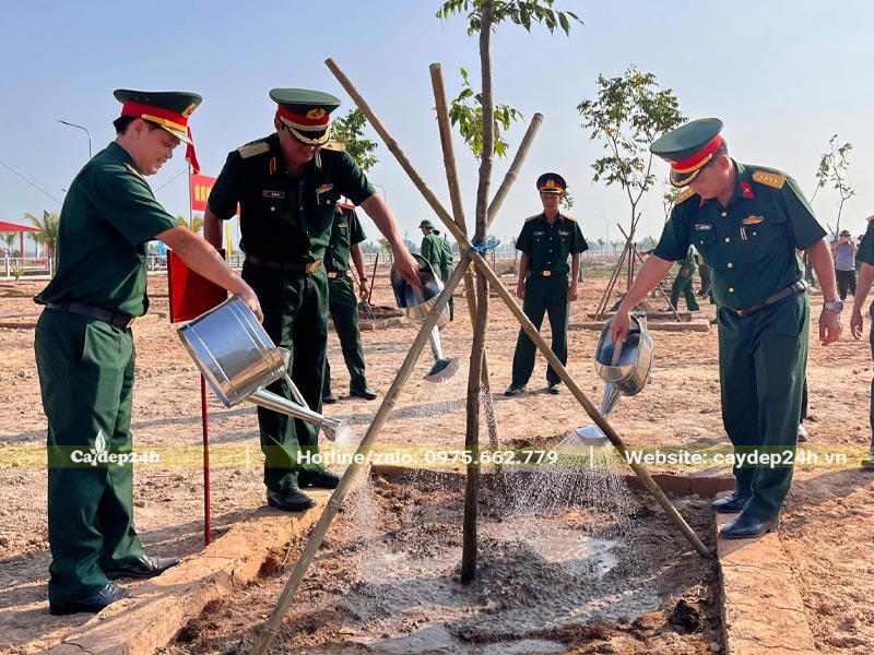 Tưới nước cho cây mới trồng