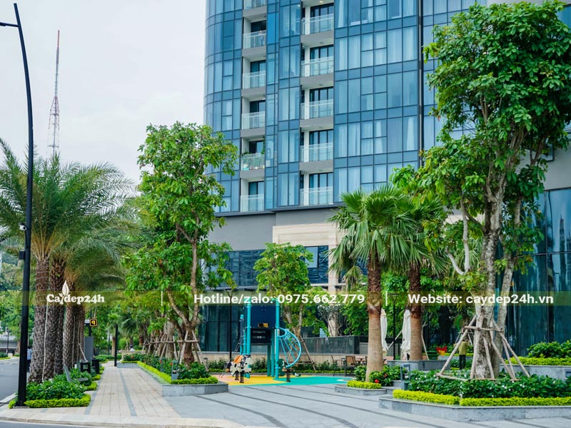 Trồng cây xanh công trình cho khu vui chơi tại một tòa chung cư cao cấp
