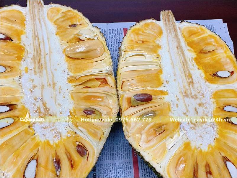 Quả mít dai bổ đôi bên trong là các múi vàng ươm