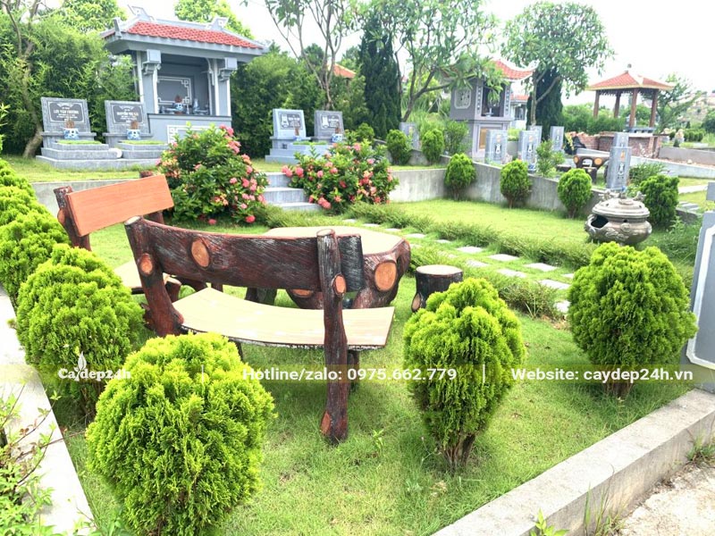 Trồng cây Trắc Bạch Diệp nhỏ xung quanh khu mộ