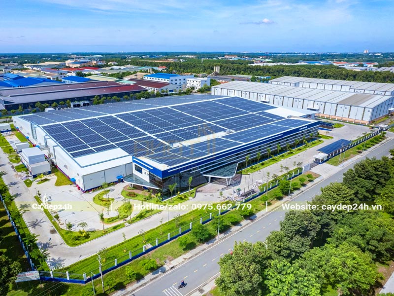 Trồng cây trong khu công nghiệp lớn