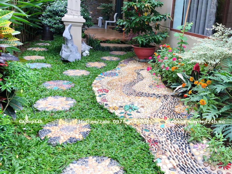 Cỏ Lá Gừng trồng tạo thảm xanh cho sân sau biệt thự