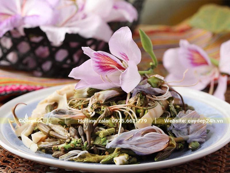 Hoa Ban Tây Bắc được hái và chế biến làm nộm