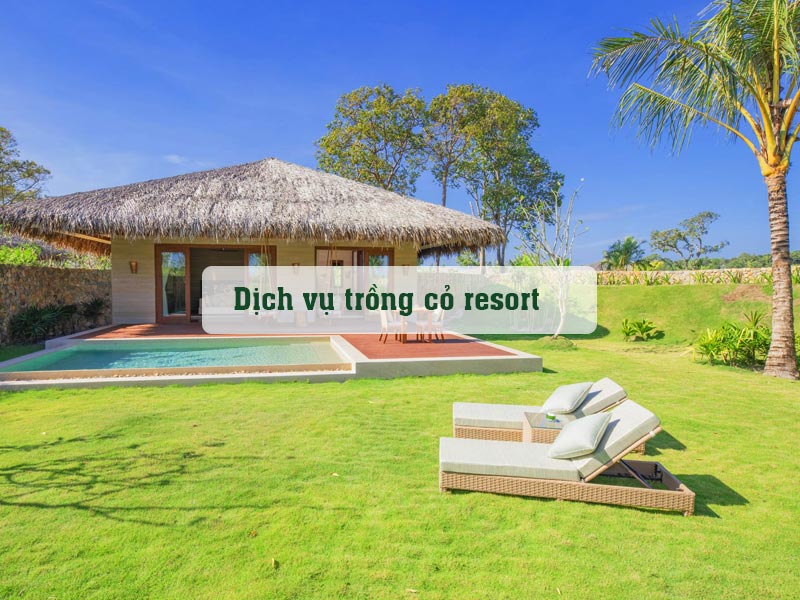 Dịch vụ trồng cỏ cho resort nghỉ dưỡng cao cấp