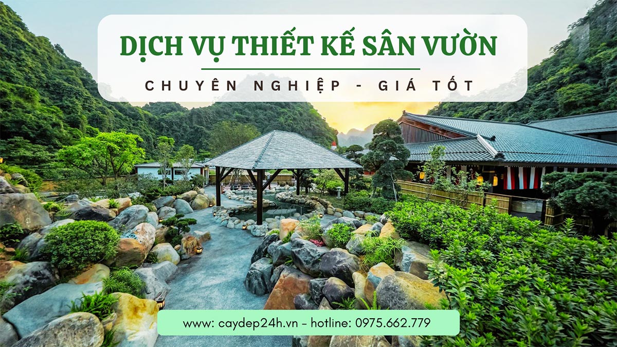 Nhà vườn cung cấp dịch vụ thiết kế sân vườn chuyên nghiệp