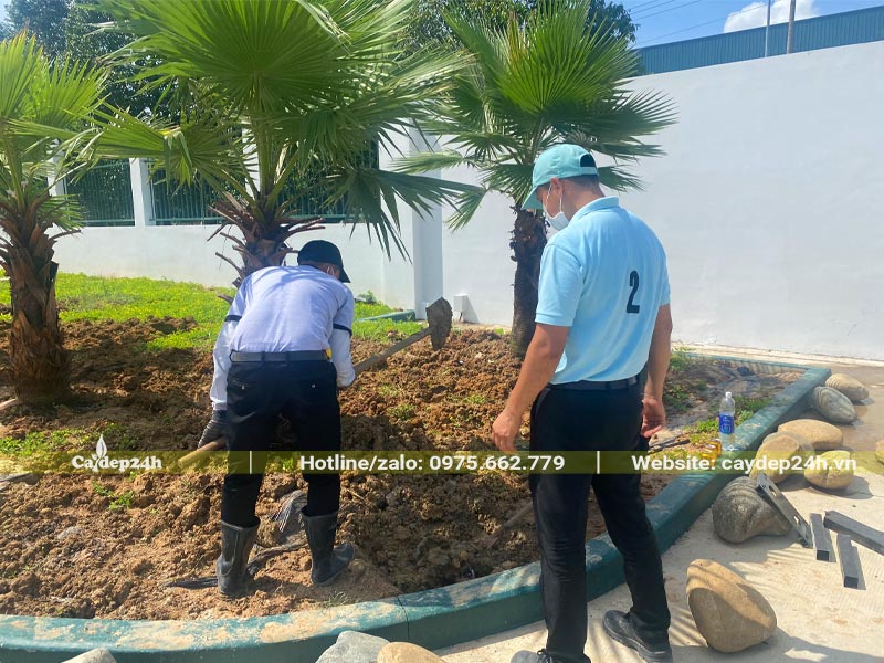 Kỹ sư và nhân viên giám sát đang kiểm tra lại cây trồng