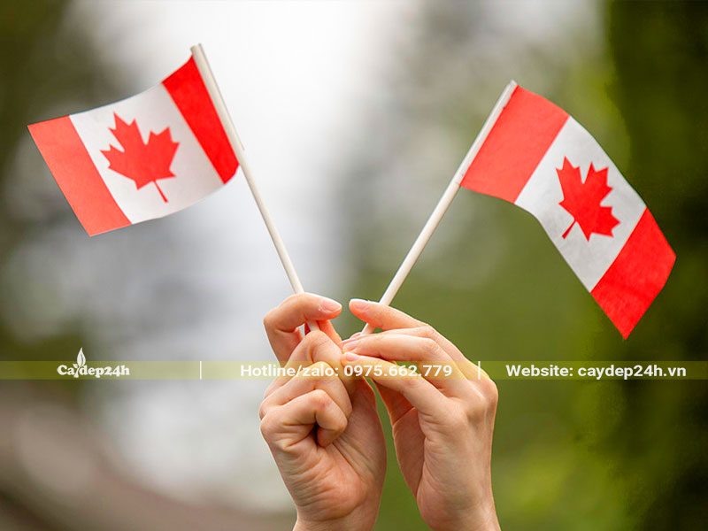 Hình ảnh quốc kỳ của Canada