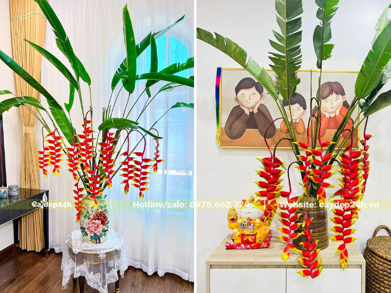 Bình cắm hoa chuối tràng pháo rực rỡ