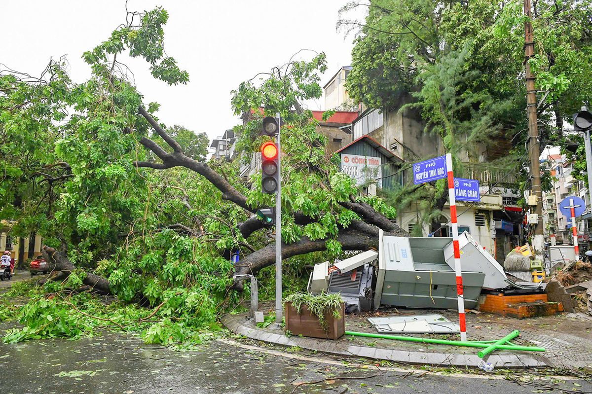 Cây cổ thụ đổ bật gốc trên đường phố gây thiệt hại cho hệ thống cột điện, trụ điện