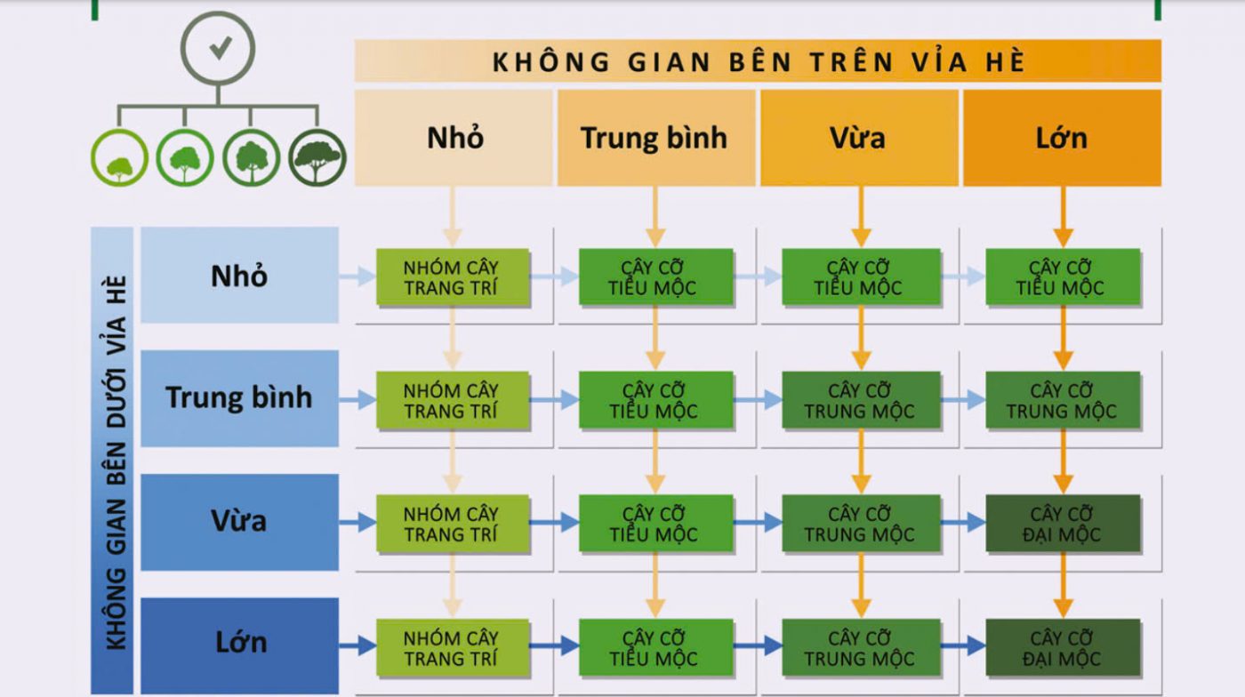 Bảng đề xuất lựa chọn cây trồng đường phố theo diện tích không gian vỉa hè