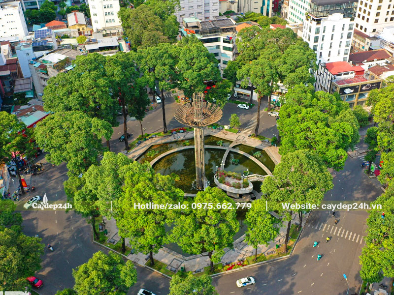 Lựa chọn cây trồng trên vỉa hè, dải chỉ hướng đường