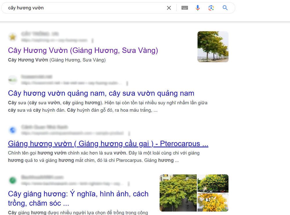 Hình ảnh kết quả tìm kiếm cây sưa vườn
